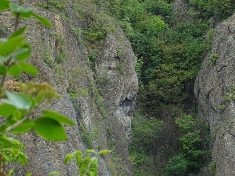 Val Borbera (AL).......Conglomerati di Savignone